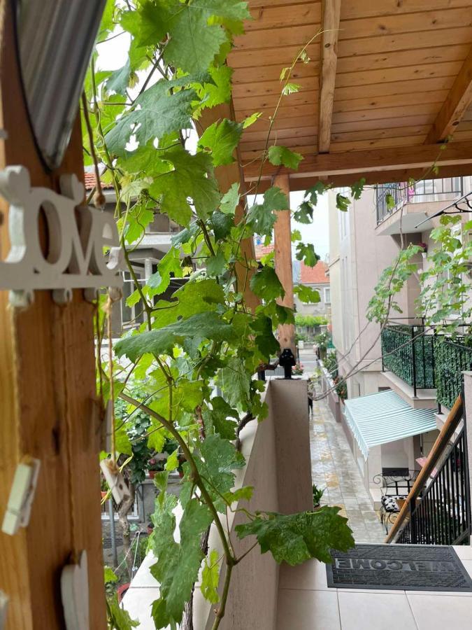 Hotel Rodos House Gmina Gmina Pomorie Zewnętrze zdjęcie